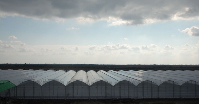 Gothic Polycarbonate Greenhouses