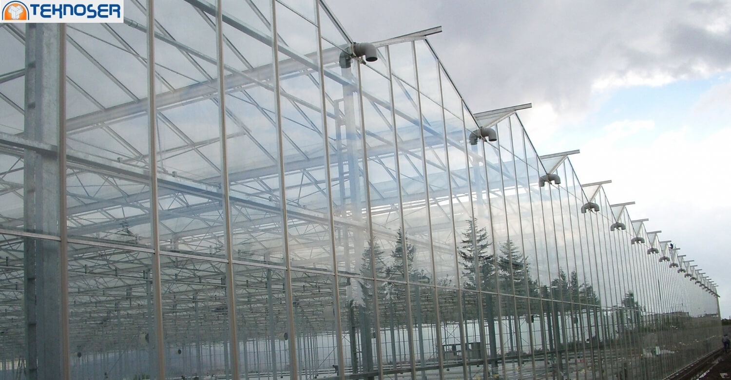 Venlo Glass Greenhouses