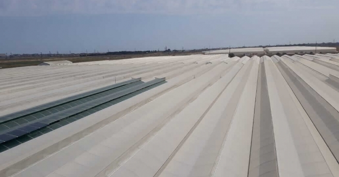 Gothic Polycarbonate Greenhouses