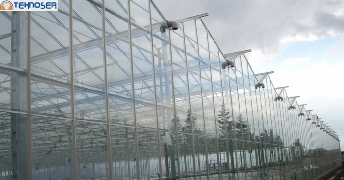 Venlo Glass Greenhouses